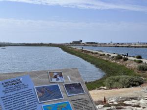 Bolsa Chica   Trails